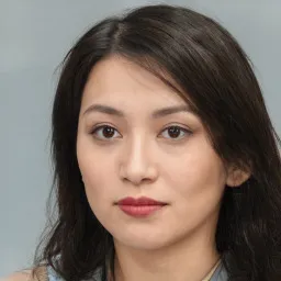 Ngô Bá Khá avatar